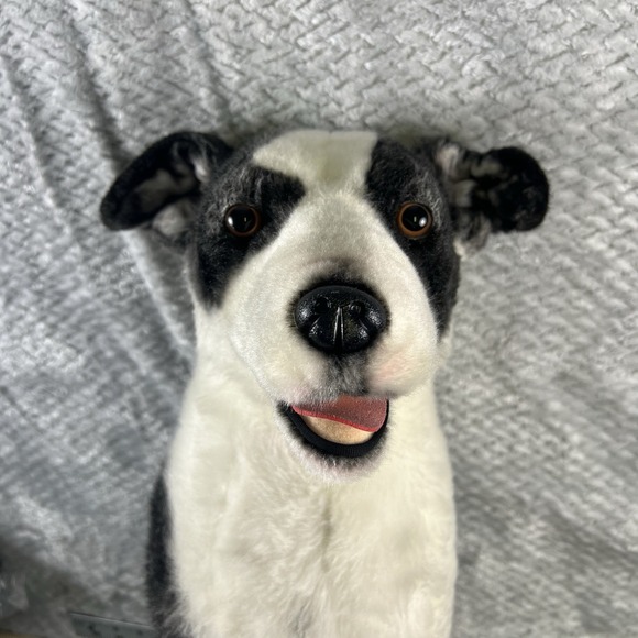 Cuddle Clones Other - Cuddle Clones Custom Border Collie Herding Mix Dog Plush Maggie Black White Toy